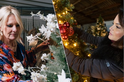 2 Weihnachtsbaum Stylisten verraten ihre Geheimnisse „Fuer einen 24 Meter Baum schwoere ich