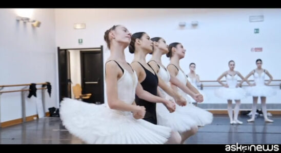 Junge italienische Talente auf der Buehne Debuet mit Swan Lake