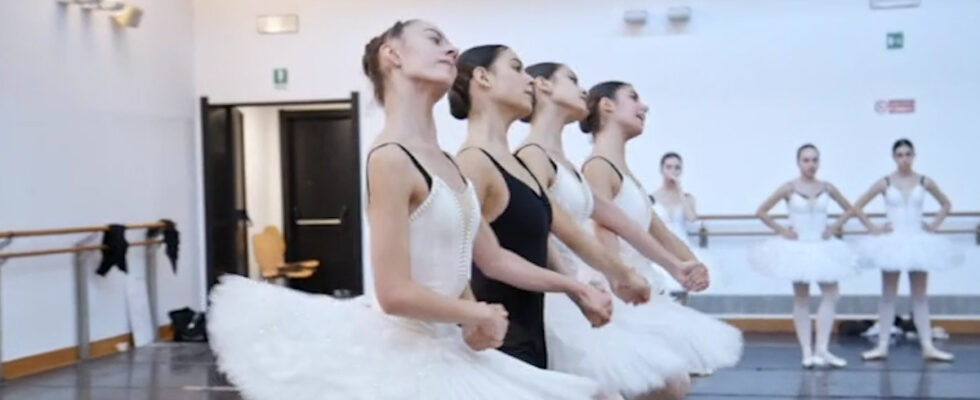 Junge italienische Talente auf der Buehne Debuet mit Swan Lake