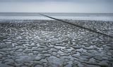 The mudflats just above the Frisian Ternaard, where NAM wants to drill for gas. 