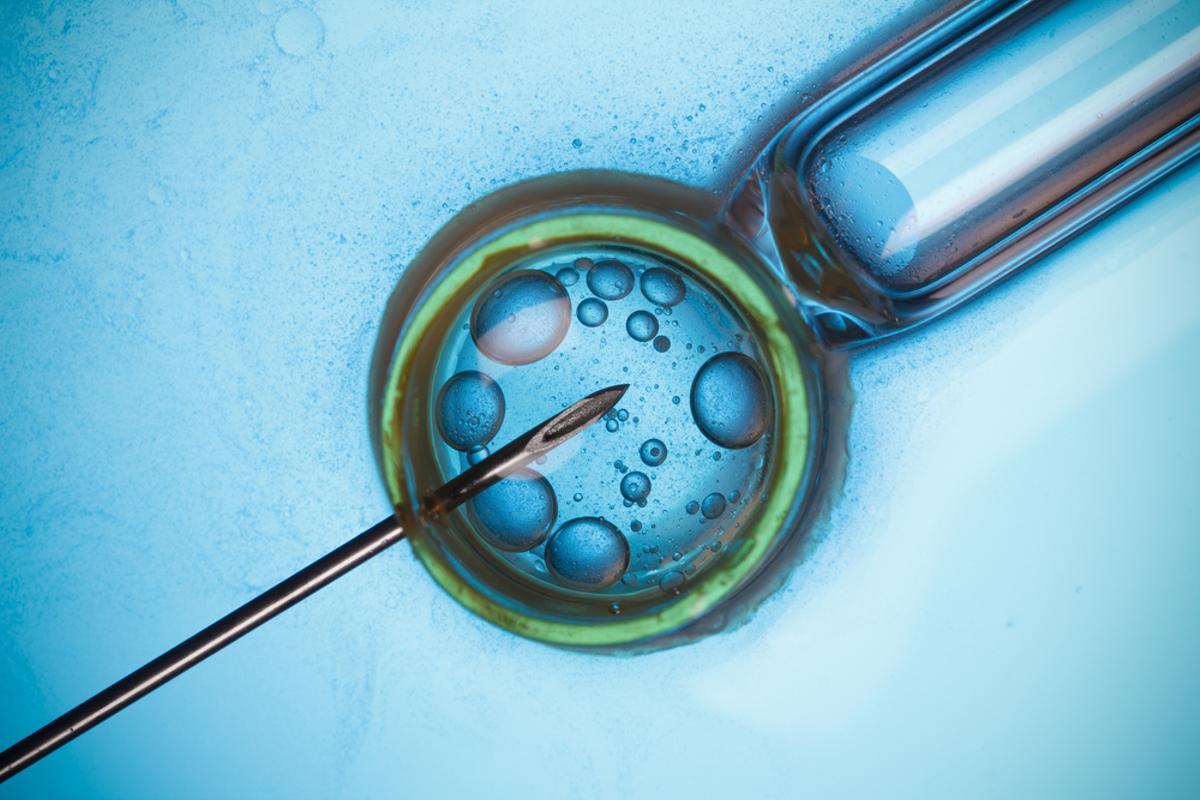 Imagen de una fecundación in vitro
