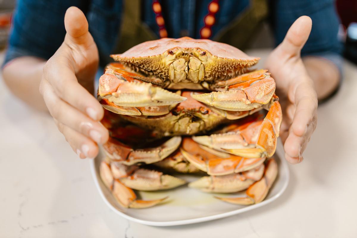 crustaceos 6