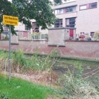 Houtsingel Okanhout Zoetermeer Rokkeveen