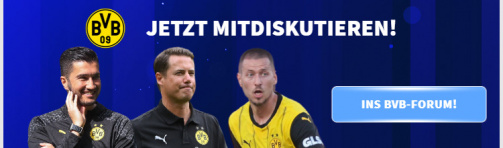 © tm/imago - Join the discussion about BVB here (link to the forum)