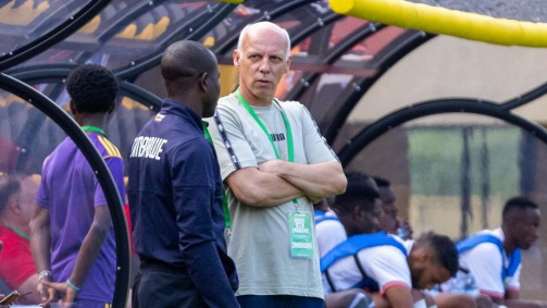 Michael Nees, Zimbabwe national coach