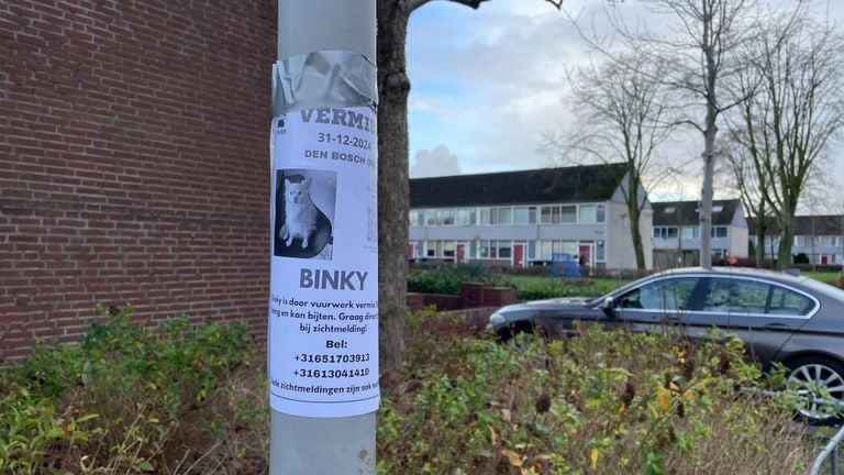 The Netherlands Dog Tracking Team helps the family find their dog (photo: Rochelle Moes).
