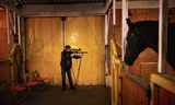A real rat shooter can be recognized by the bullets, says Jos Kruis. The main ingredient is tin. Because: “If you shoot a rat with lead and it then goes inside a heron, that bird is also dead.”