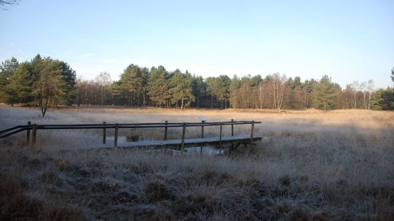 Winter walking in Odiliapeel (photo: IVN Uden).