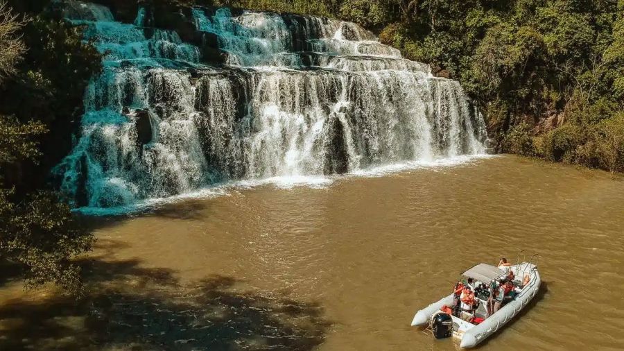 Destinations in the jungle