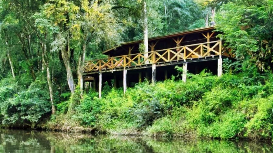 Destinations in the jungle