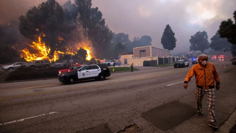 Fires in Los Angeles