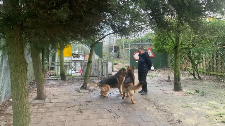 Gerda with her own dogs (Photo: René van Hoof)