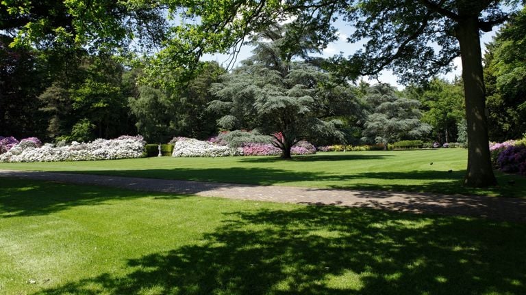 One of the park gardens at the Wielewaal (photo: municipality of Eindhoven)