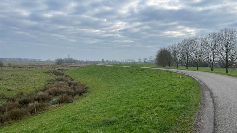 Dike landscape near Megen (photo: René van Hoof).