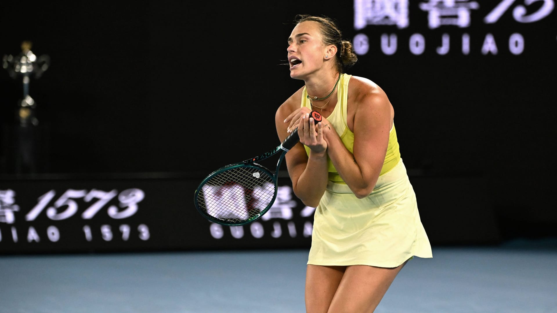 Dethroned: Aryna Sabalenka sometimes despaired of her opponent's game.