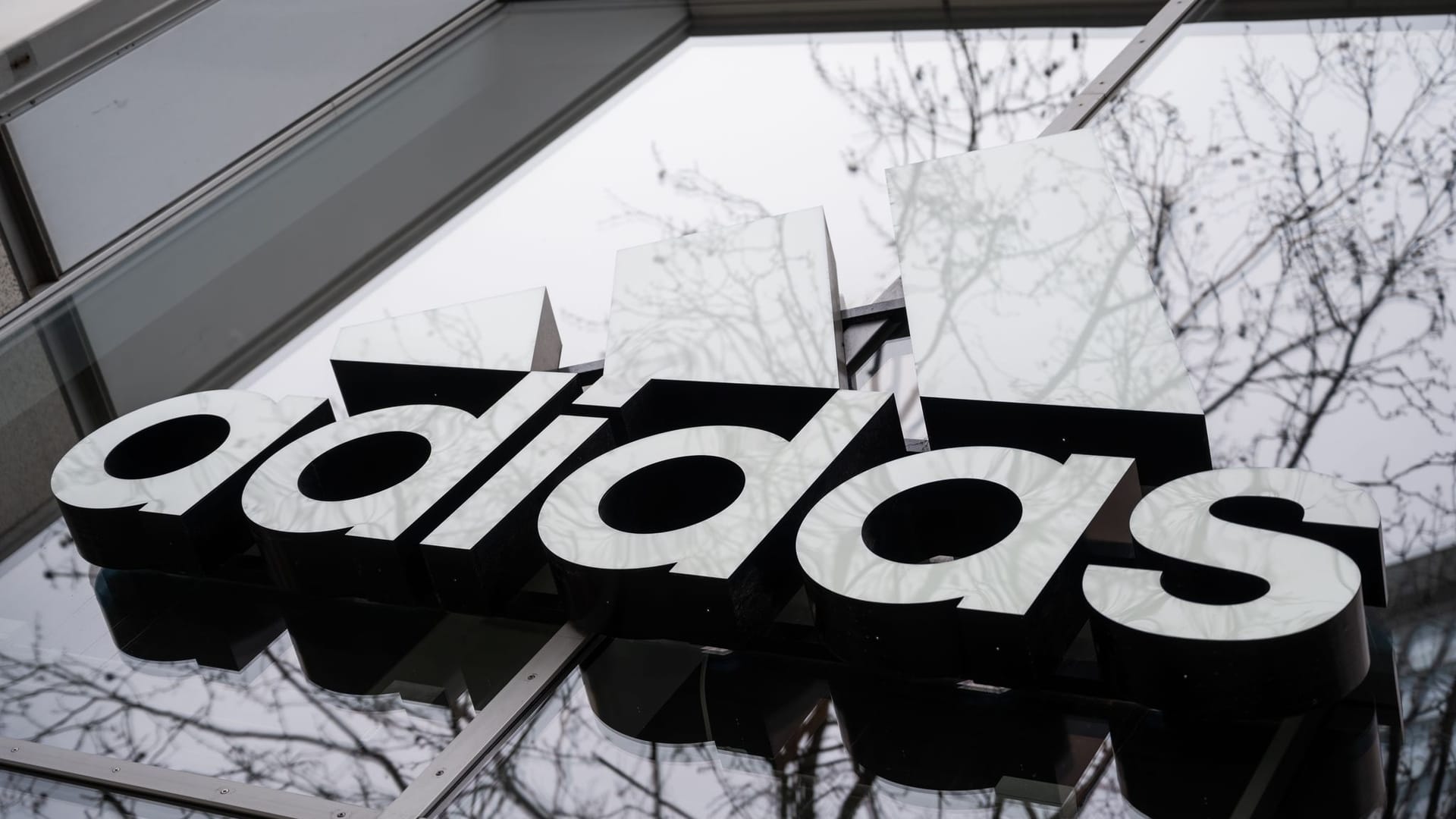 Adidas Adidas