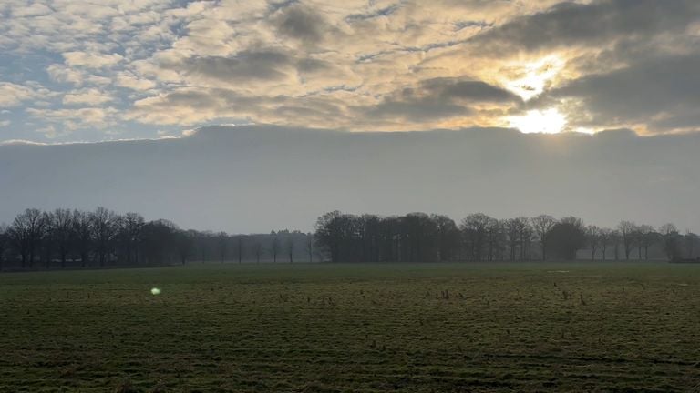 The water storage area on the Vloeidijk (photo: Tom van den Oetelaar).