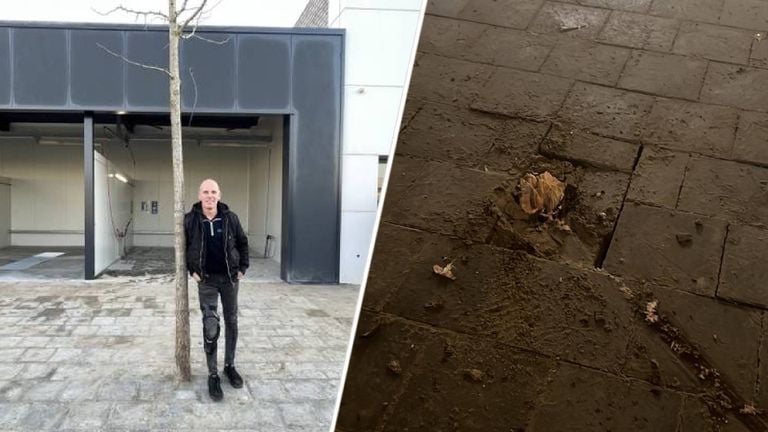 The tree was completely knocked over. On the left the tree still stands proudly in front of the entrance (photos: Henri Lanters / Raymond Merkx).