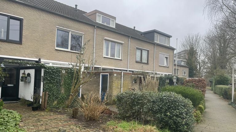 The houses that still have an unobstructed view (photo: René van Hoof)