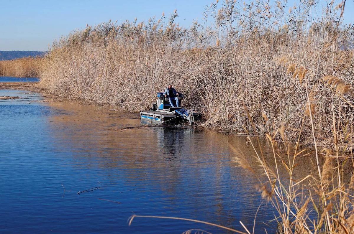 La Albufera, en Valencia.