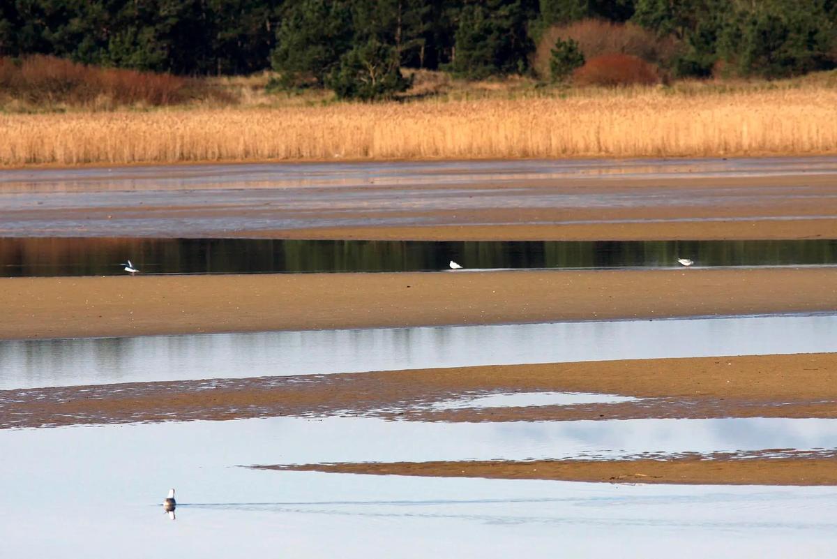 Laguna de Frouxeira, en Valdoviño, en Galicia.