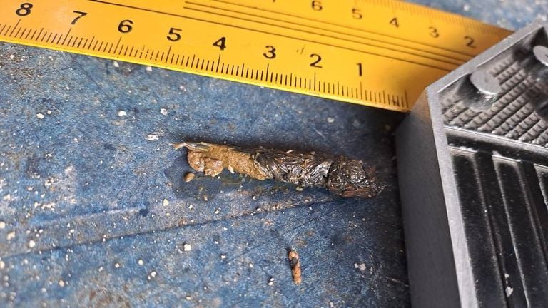 Who has pooped on this feed plate? (Photo: Martina Osteried)