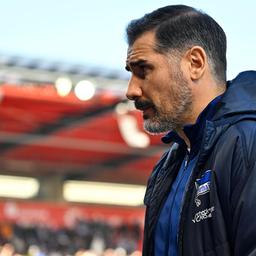 Hertha coach Cristian Fiél in the game against SSV Jahn Regensburg on 01.02.2025 (Image: Imago Images/Zink)
