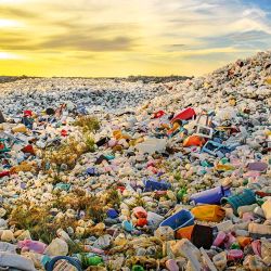 Accumulation of plastics. | Photo: Shuttersock.