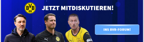 Have a say in the forum about the BVB!