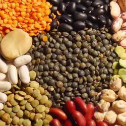 Legumes | Photo: CEDOC