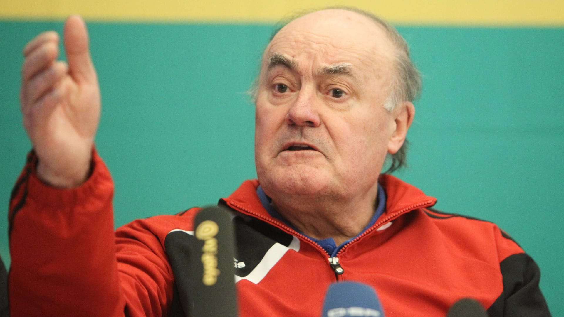 Volker Roth: The ex-referee headed 128 Bundesliga games.