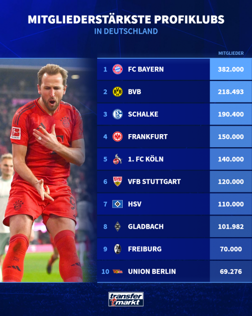 German professional clubs with most members