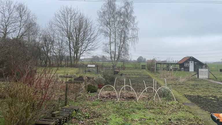 The vegetable gardens (photo: René van Hoof)