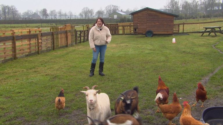 Jessica between the goats and chickens (photo: Omroep Brabant)
