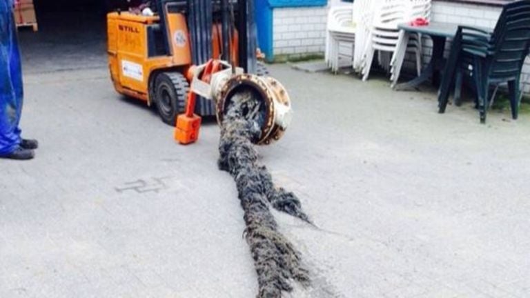 Remnants of wipes with plastic from a water treatment (photo: Brabantse Delta Water Board).