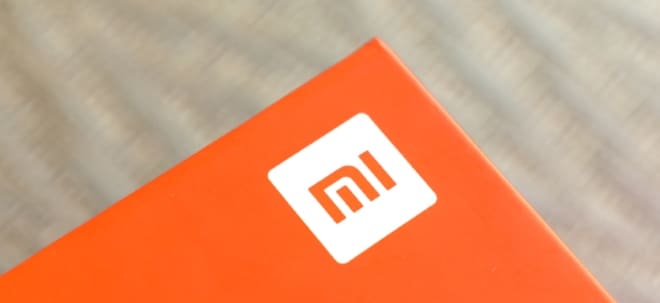 First estimates: Xiaomi takes stock of the past quarter