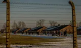 Visitors in Auschwitz.   