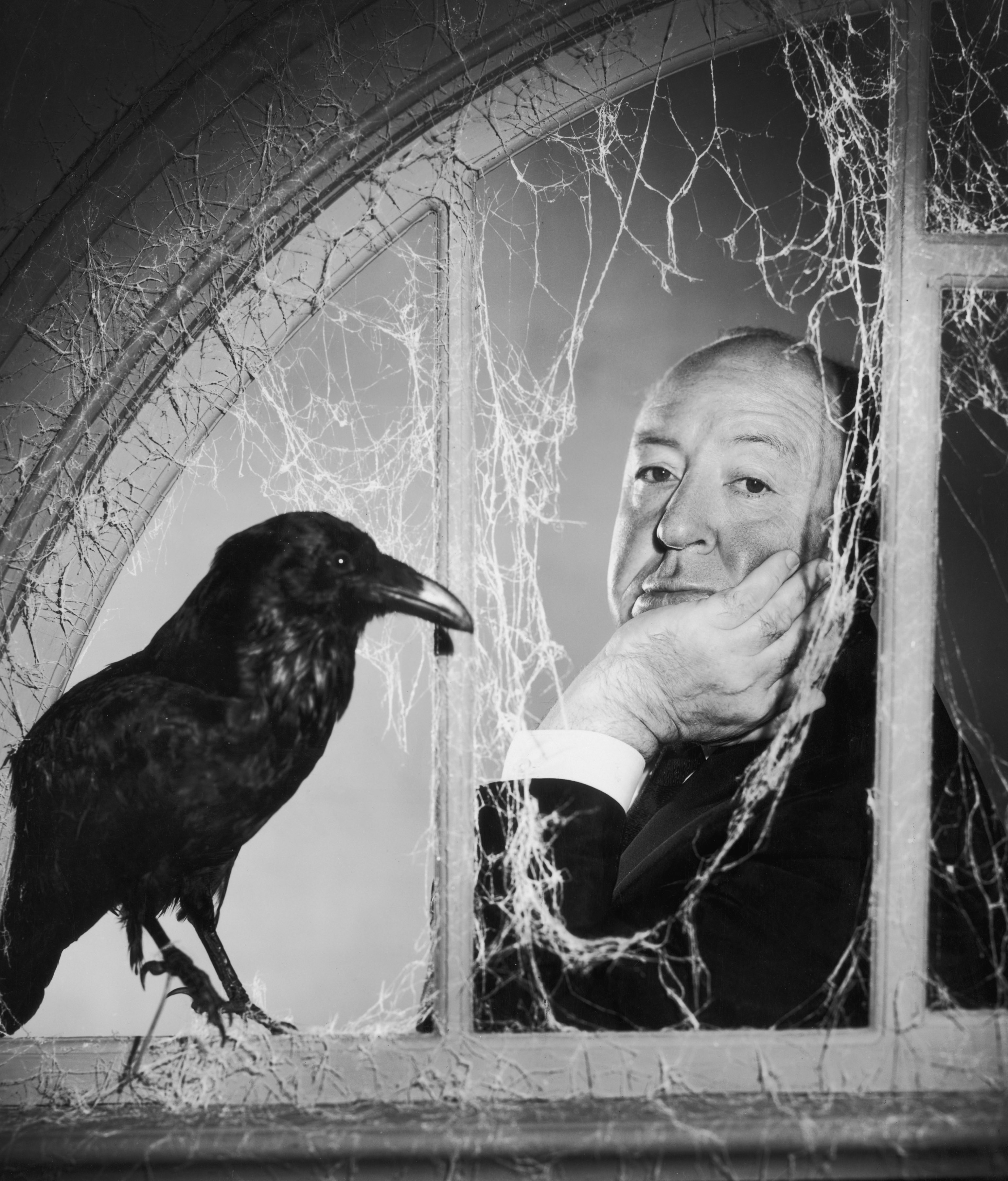 Hitchcock and the birds