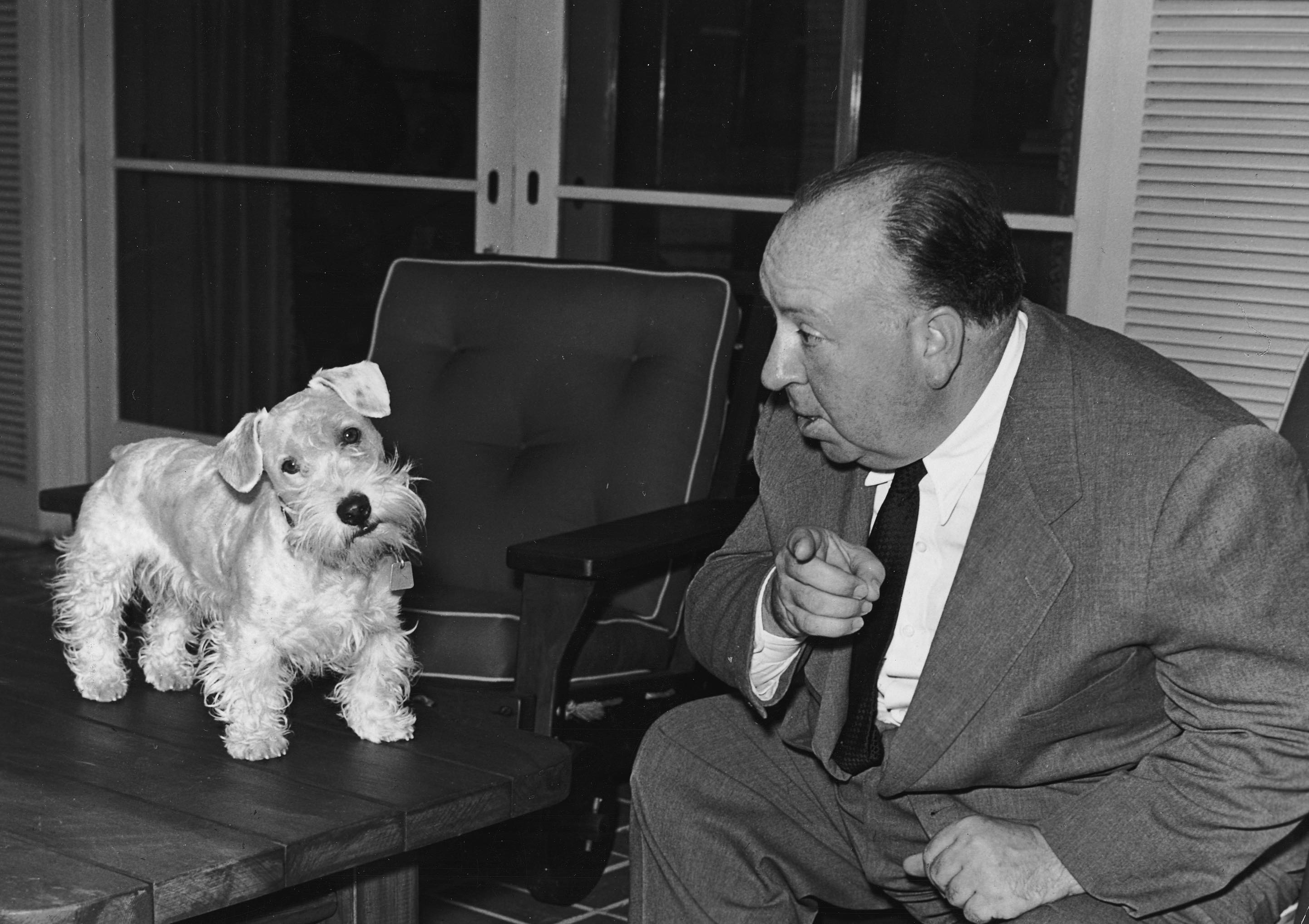Hitchcock with terriers
