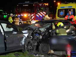 https://api.omroepbrabant.nl/img/f/$width$/$height$/0.48/0.53/bwvkawevchjvzc80njuznjy4lmpwz9zdj0ymde5lta3lta3jnn0ptiwmdetmdet LM0EWMCUZQTAWIZZZT0YYMDQWLTAXLTAXVDAWJTNBMDALM0EWMFOMC3I9YIYJNPZZ1EKJSDLNXCNLCNJZCHPMUXQCSQUSNYRKOVRYOG16D