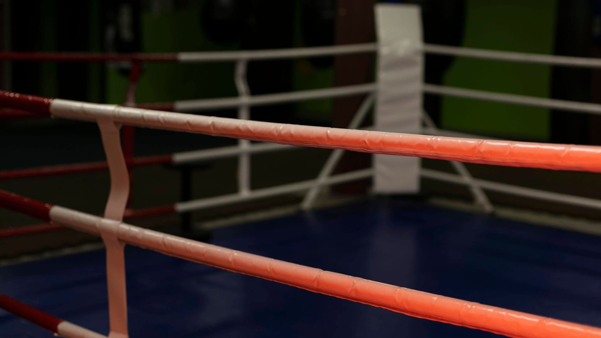 Wrestling (symbol image): A professional wrestler died at the age of 39.