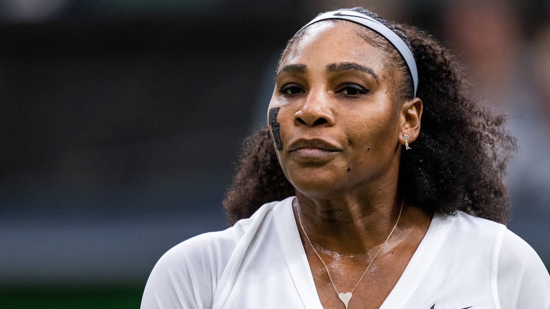 Serena Williams: The 23-time Grand Slam winner has been a professional since 1995.
