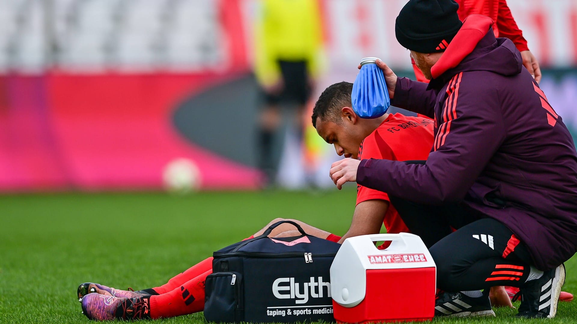 Tarek Buchmann: He went through the youth of FC Bayern.