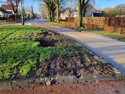 https://api.omroepbrabant.nl/img/f/$width$/$height$/0.5/0.5/bWVkaWEvcHJvZC80NjMyNDg4LmpwZz9zdj0yMDE5LTA3LTA3JnN0PTIwMjAtMDEtMDFUMDAlM0 EWMCUZQTAWIZZZT0YYMDQWLTAXLTAXVDAWJTNBMDALM0EWMFOMC3I9YIYJNNNNPZZ1JME5UDKHTUSUYQUZ4AJJJZWNU FIGNULXU0ZDFOWUSDOFI -EN