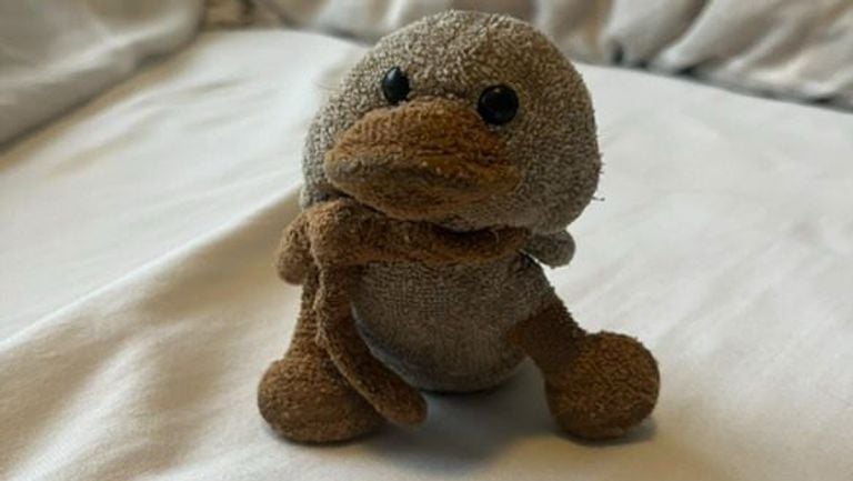 Kwakje (private photo)