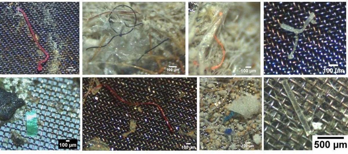 Ejemplos de microplásticos y nanoplásticos