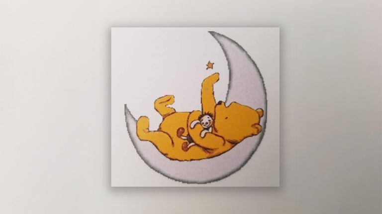 The image on the birth and death card of Thijn (private photo).