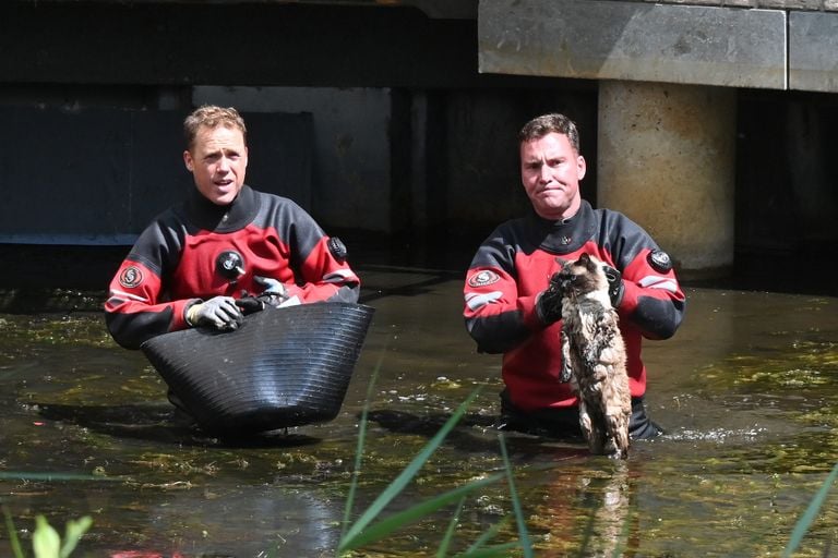 The divers with Elmo (photo: Cor van Dongen/SQ Vision).