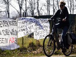 https://api.omroepbrabant.nl/img/f/$width$/$height$/0.5/0.5/bwvkawevchjvzc80njy4odk2lmpwz9zdj0ymde5lta3lta3jnnn0ptiwmdetmdetmdetmdetmdetmdetmdetmdetmdetmdetmdetmdetmdetmdetmdetmdetmdetmdetmdetmdetmdetmdetmdetmdetmdetmdetmdetmdeth Mcuzqtawizzzt0ymdqwltaxltaxvdawjtnbmdalm0ewmfomc3i9yizcd1yjnnpzz00 OWZQR1NXWCUYQJH0WKTWVEXNBSUYQKPMNNLYUMJQB2NFQWJPJTJCZKJOVHRJJTNE
