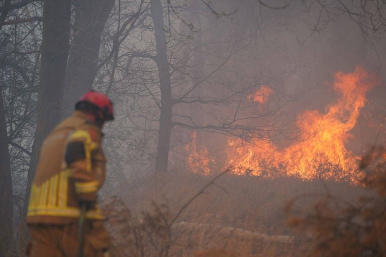 The forest fire in Drunen (photo: Erik Haverhals/press agency Heitink).